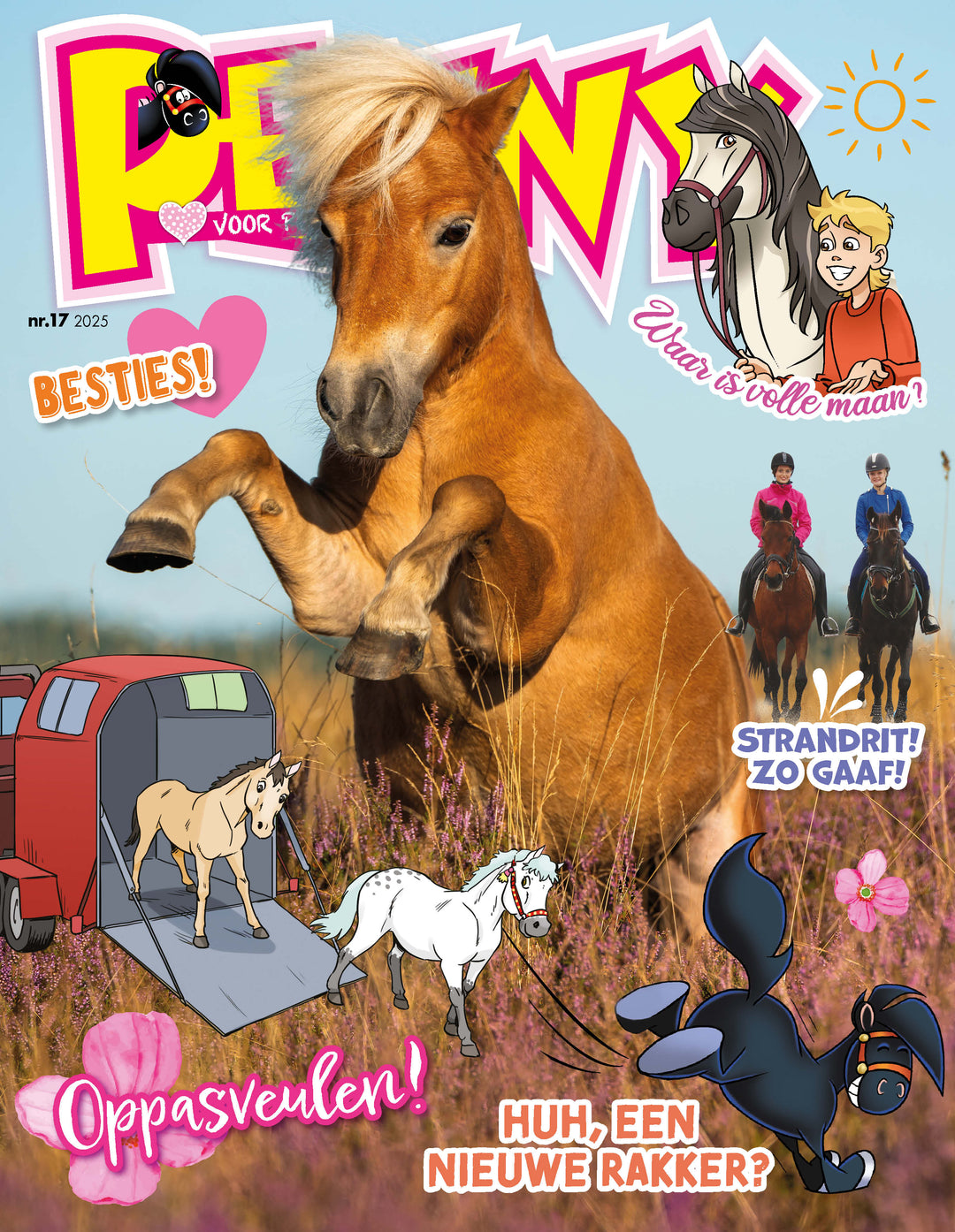 Tijdschrift 17 - 2025