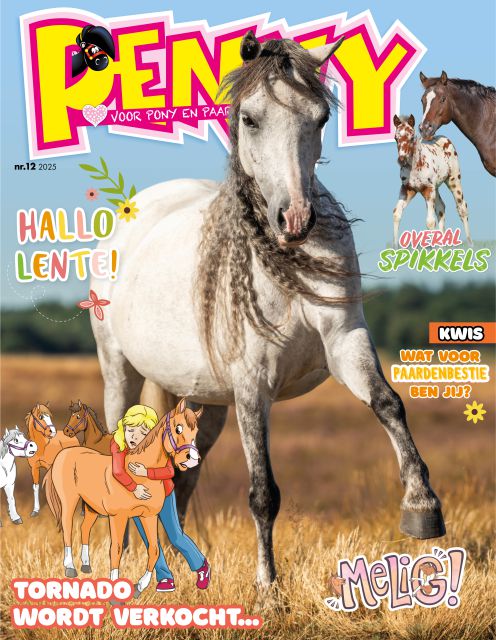 Tijdschrift 12 - 2025