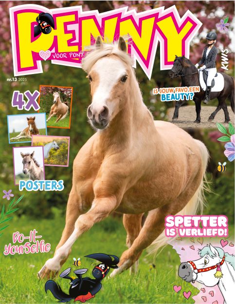 Tijdschrift 13 - 2025