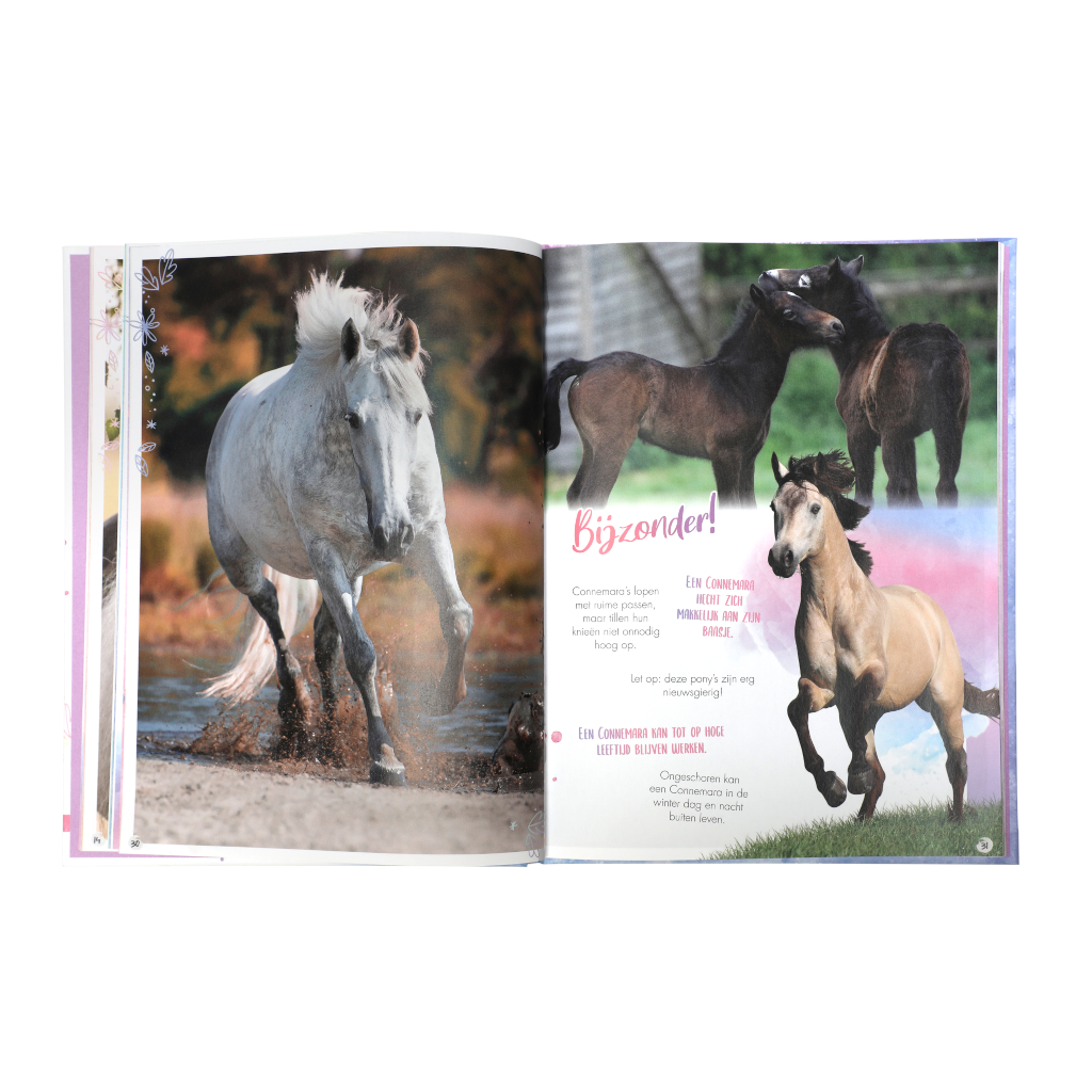 Rassenboek deel 1 + deel 2