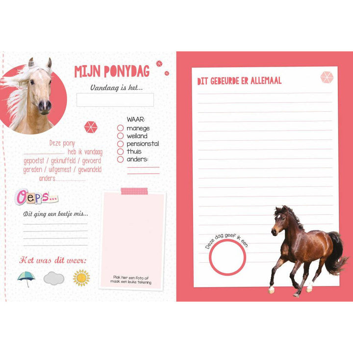 penny ponydagboek